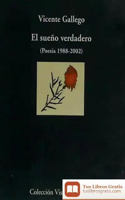 Descargar El Sueño Verdadero de Vicente Gallego