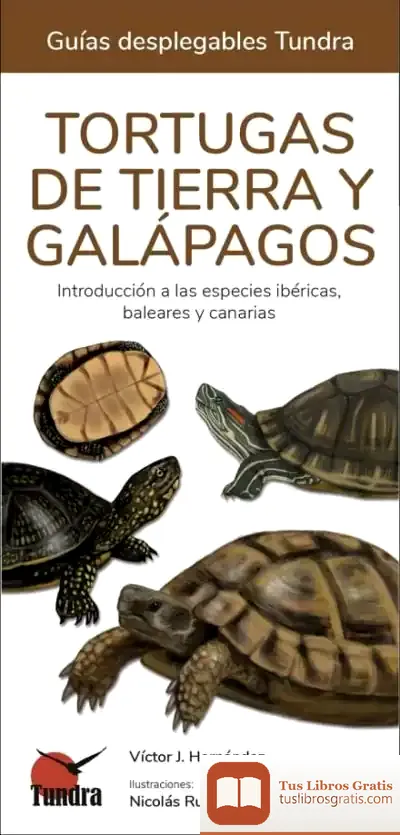 Descargar Tortugas De Tierra Y Galapagos