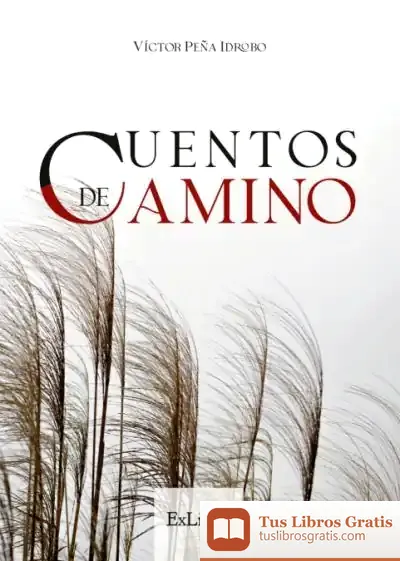 Descargar Cuentos De Camino