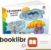 Descargar 12 Meses De Lluvia Y De Sol