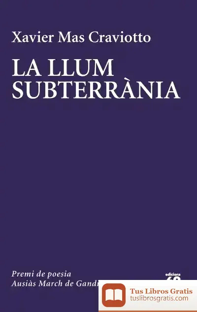 Descargar La Llum Subterrània