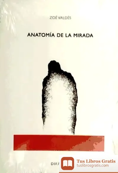 Descargar Anatomía De La Mirada
